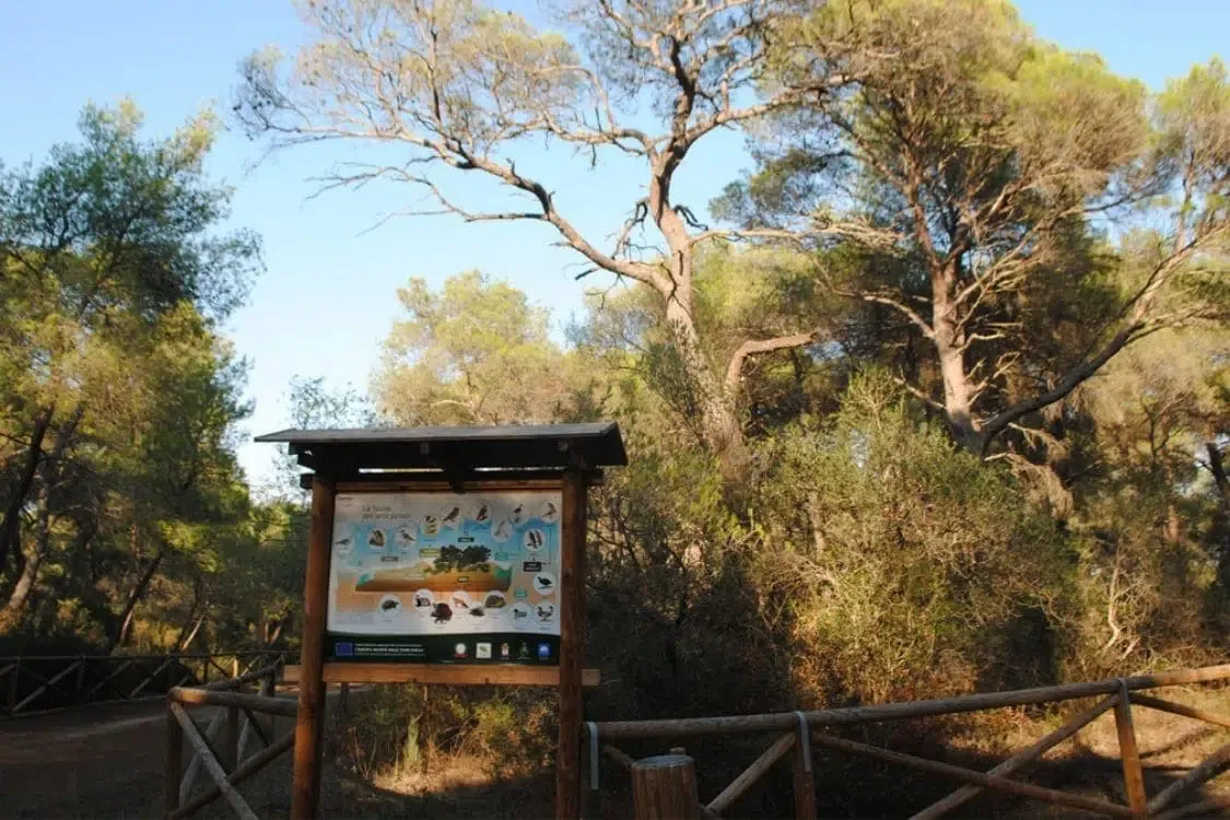 Pineta Regina (Marina di Ginosa)