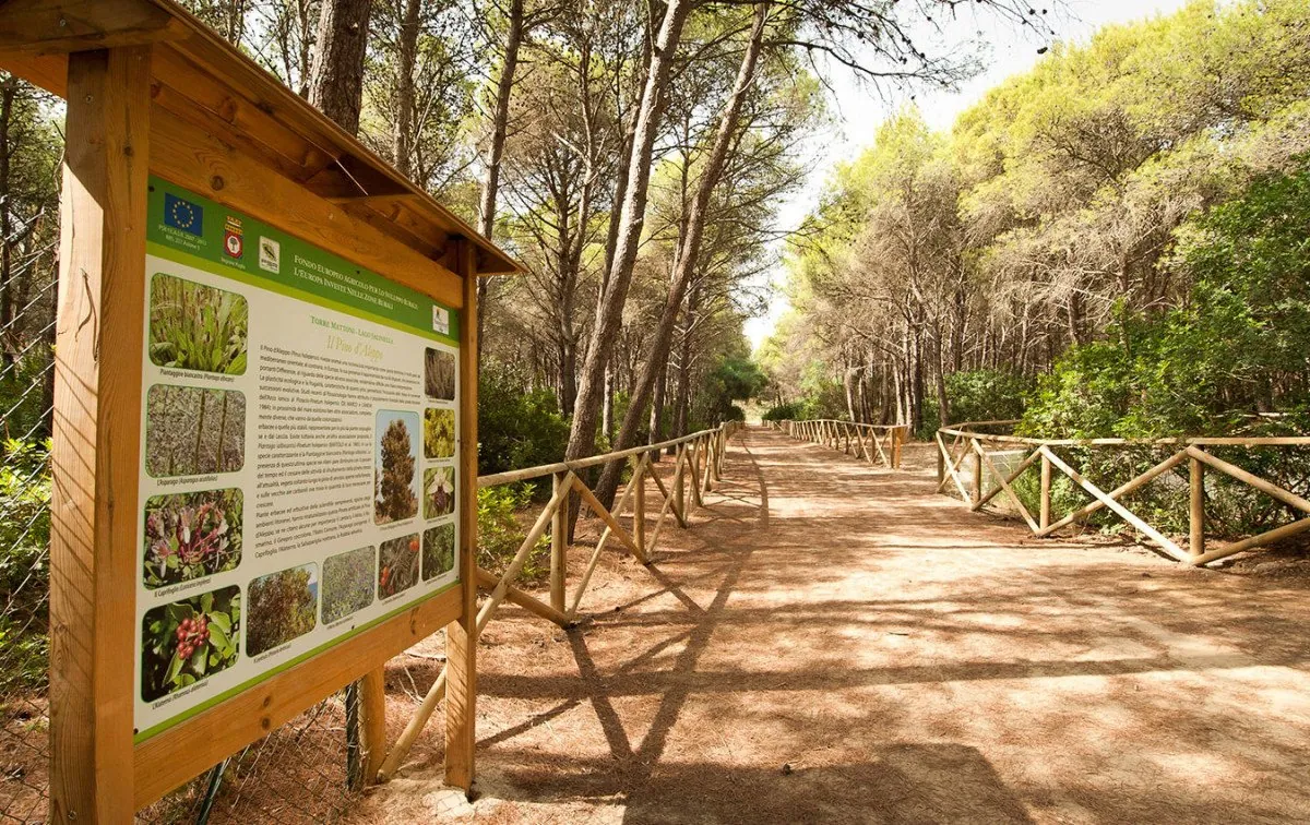 La Storia della Pineta Regina